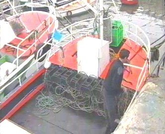 PESCA 18  GANADO